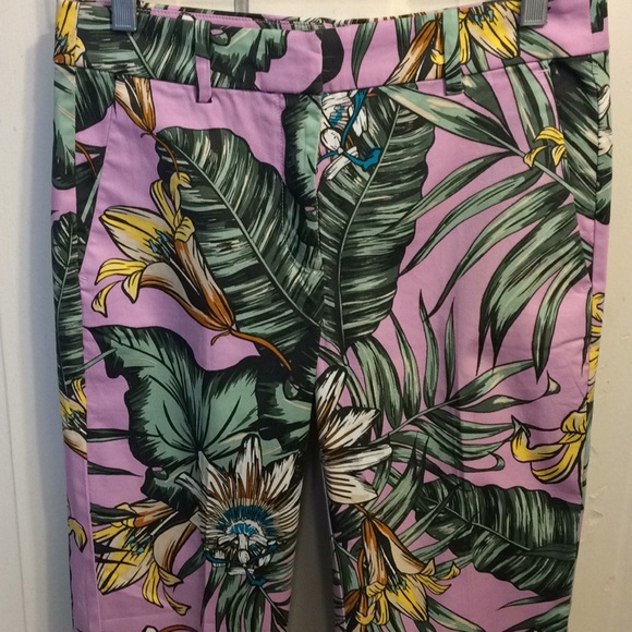 NWT J Crew Capris Pants Size 2 - Picture 3 of 8